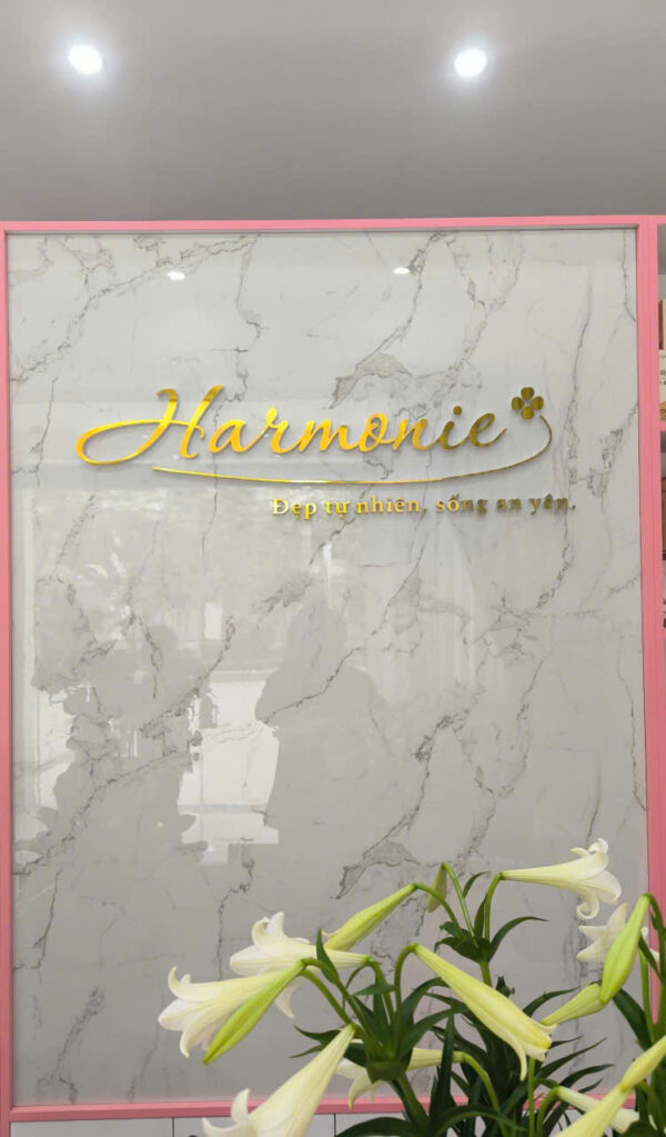 Bộ Chữ Logo Kim Loại Làm Biển Hiệu Quảng Cáo – Giải Pháp Sang Trọng & Đẳng Cấp Cho Thương Hiệu - Ảnh 11